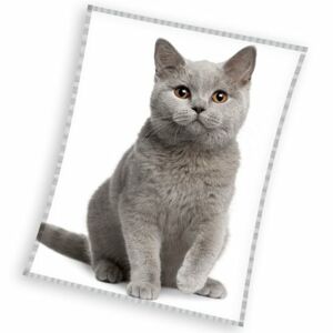 Tiptrade Mikroplyšová deka Britská kočka šedá, 150 x 200 cm