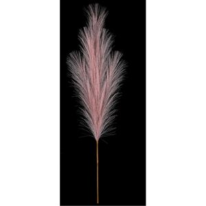 Pampas tráva, světle fialová, 9 x 77 cm