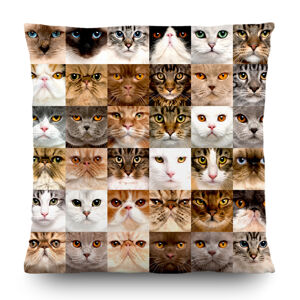 AG Art Polštářek Cats, 45 x 45 cm