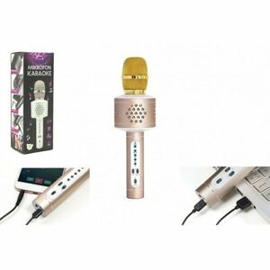 Teddies Mikrofon karaoke Bluetooth, zlatá, na baterie, s USB kabelem
