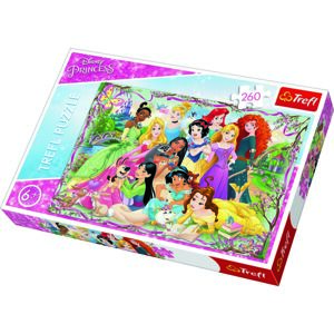 Trefl Puzzle Disney princezny: Setkání princezen 260 dílků