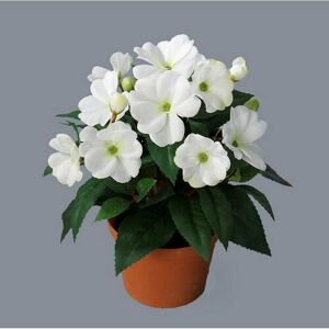 Umělá Netýkavka v květináči bílá, 24 cm
